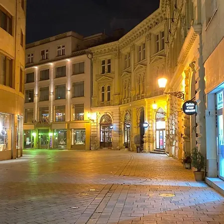 Downtown - Laurinska Street Apartment